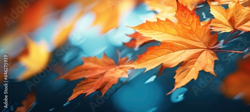 Close up of autumn leaves with motion blur,