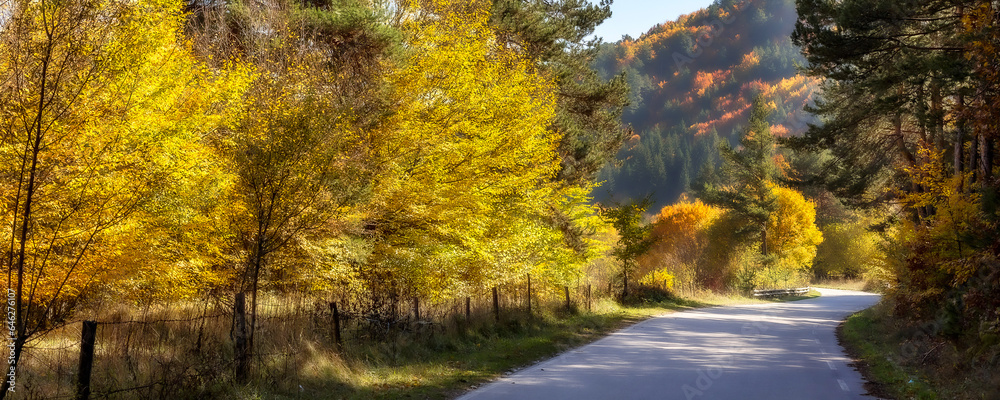 Golden magic autumn trees with colorful fall leaves. Romantic landscape with road banner