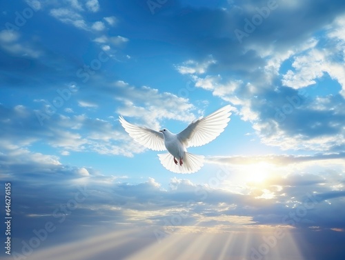White dove flying on the sky with beautiful sun