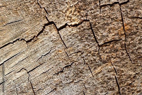 Cracks in the cut of the tree. Colored wooden background.