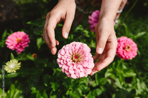 Hands of girl touching pink flower in garden