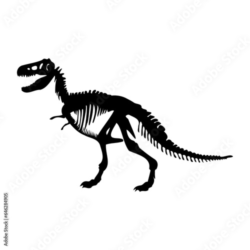 dinosaur skeleton,t rex dinosaur,dinosaur, jurassic © Arthit