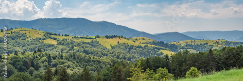Fototapeta Naklejka Na Ścianę i Meble -  panorama of green mountains covered with green forest and hills.