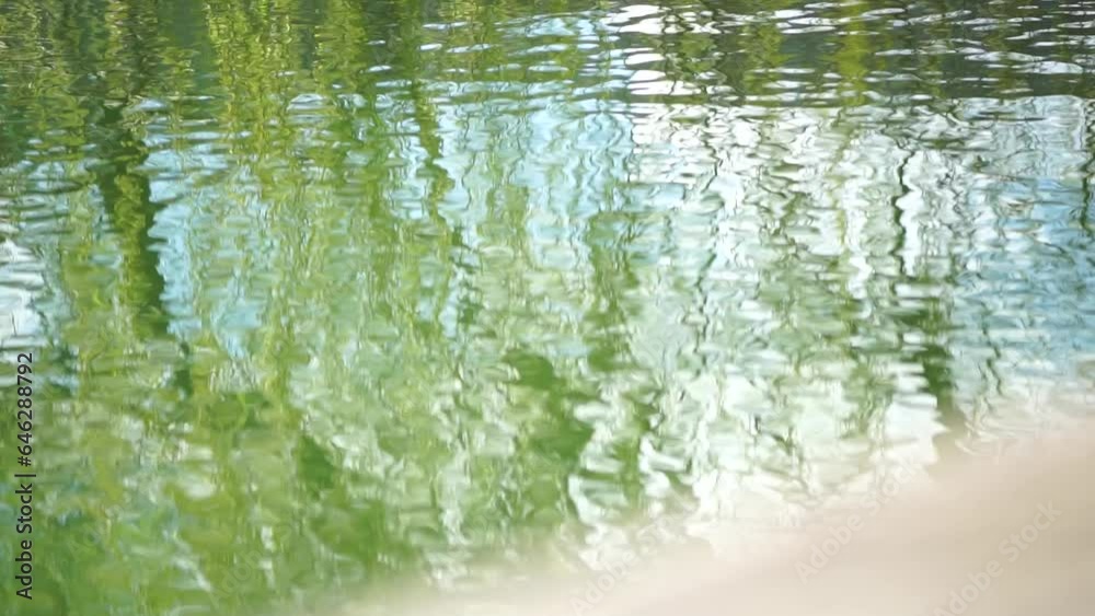 ripples on the water surface with reflection of branches of weeping willow tree and fresh green spring goslings shaking in wind, over blue lake water, creating a serene and tranquil scene. slow motion ripples on the water surface with reflection of branches of weeping willow tree and fresh green spring goslings shaking in wind, over blue lake water, creating a serene and tranquil scene. slow motion