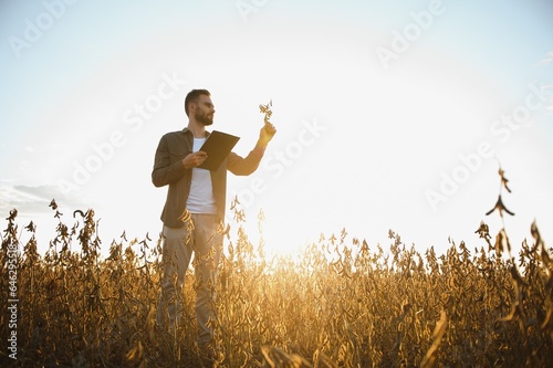Portrait of farmer standing in soybean field at sunset. © Serhii