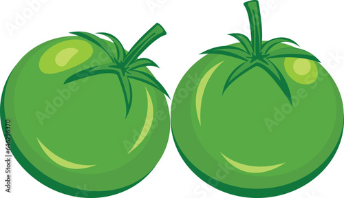  green tomatoes vector