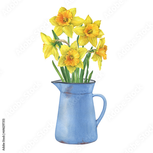 Old blue enamel water pitcher with yellow narcissus flowers (daffodil, easter bell, jonquil, lenten lily). Floral botanical picture. Hand drawn watercolor painting illustration isolated on white