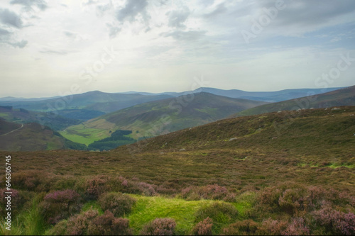 view of the mountains