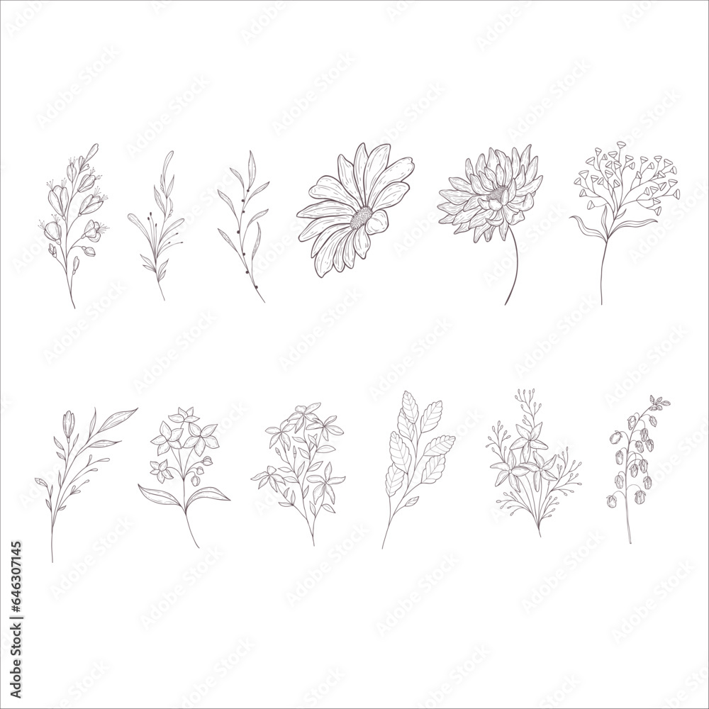 Set of Flowers and Branches. Line Art Illustration. Set of Flowers and Branches. Line Art Illustration.