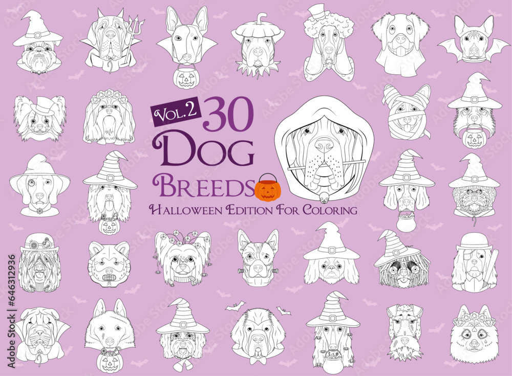 Obraz premium Set of 30 dog breeds with Halloween costumes for coloring. Set 2