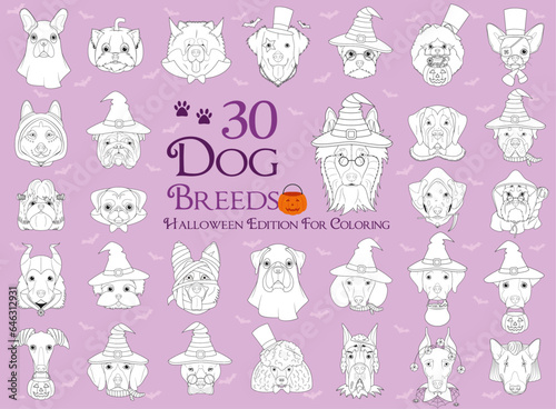 Set of 30 dog breeds with Halloween costumes for coloring