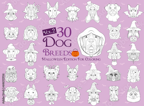 Set of 30 dog breeds with Halloween costumes for coloring. Set 2