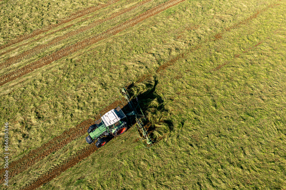 Bad Zwischenahn, Germany, 07.09.2023. Harvesting and drying hay. The grass tedder turns freshly cut grass. Drone photo. Bad Zwischenahn, Germany, 07.09.2023. Harvesting and drying hay. The grass tedder turns freshly cut grass. Drone photo.