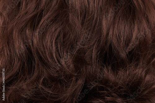 Close-up view of natural shiny hair, bunch of dark .brunette curls background