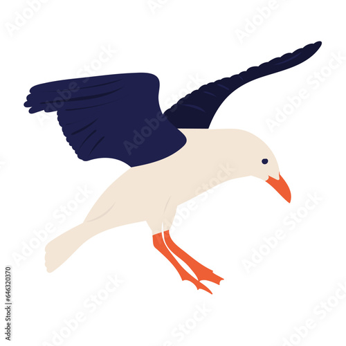 seagull on white background vector