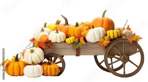 Wooden cart with thanksgiving ripe pumpkins, isolated on white