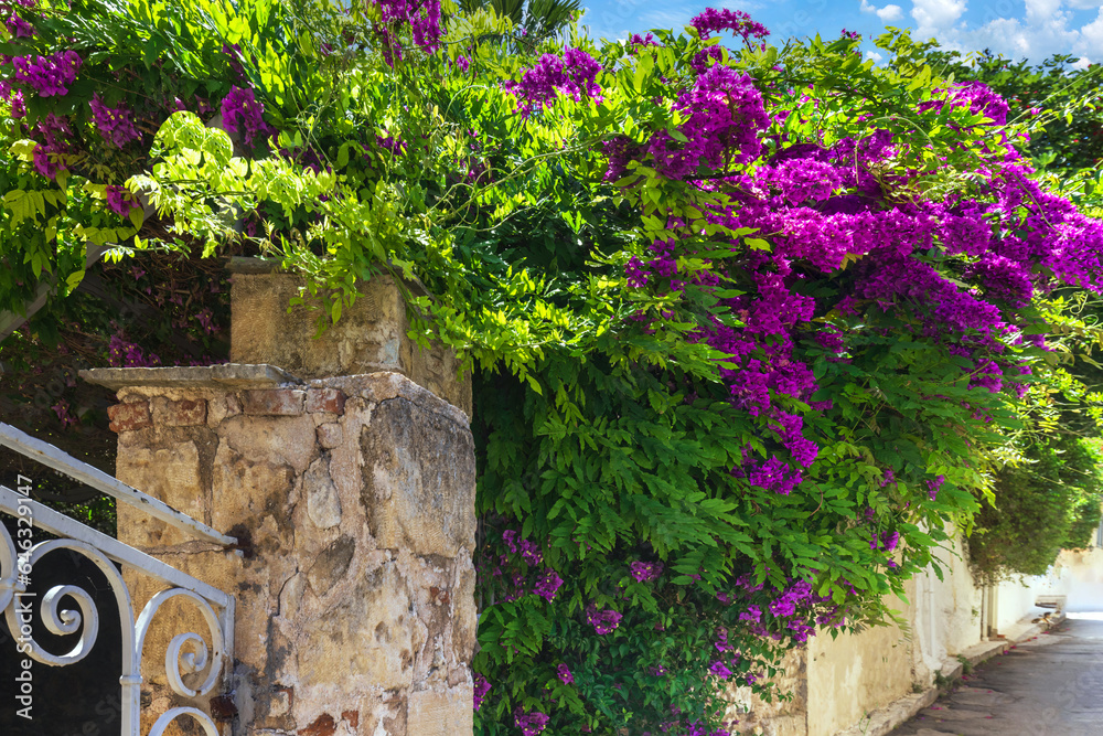 Greece, historic neighborhood of Plaka and Anafiotika in Athens with restaurants near Acropolis.