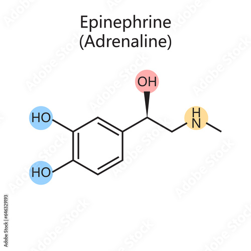 Billede på lærred Chemical organic formula of epinephrine adrenaline diagram schematic raster illustration