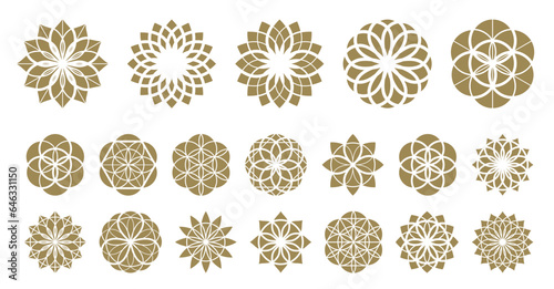 Flower of life vector ancient esoteric symbol big vector set.