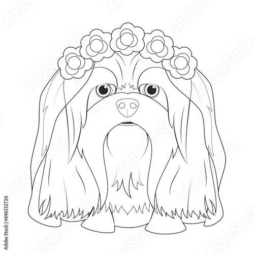 Halloween greeting card for coloring. Lhasa Apso dog dressed as a ghost with purple flowers on his head and a wedding veil