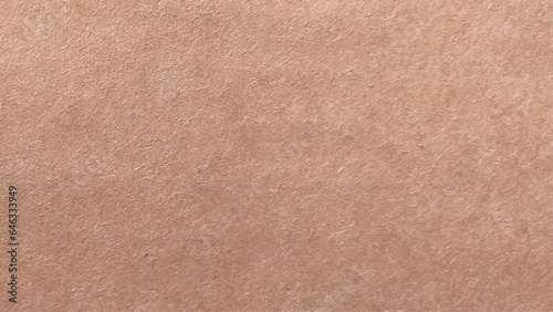 Wallpaper Mural Vector seamless texture of kraft paper background. Brown paper texture as background Torontodigital.ca