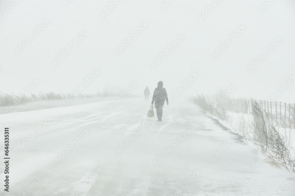 A snowstorm. People walk down the street during a snowstorm. Heavy snowfall.  against the background of a cold urban landscape.