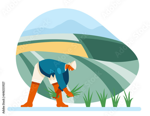 Man of Asian appearance is working on field, collecting plants. Rice cultivation process concept. Vector illustration in cartoon style in blue and green colors