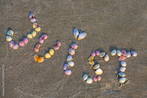 “Juist“, name of a popular east frisian island in the national park “Wattenmeer“ written with colorful baltic calms (Limecola balthica, a saltwater bivalve) on the sandy beach at low tide, and low sun photo