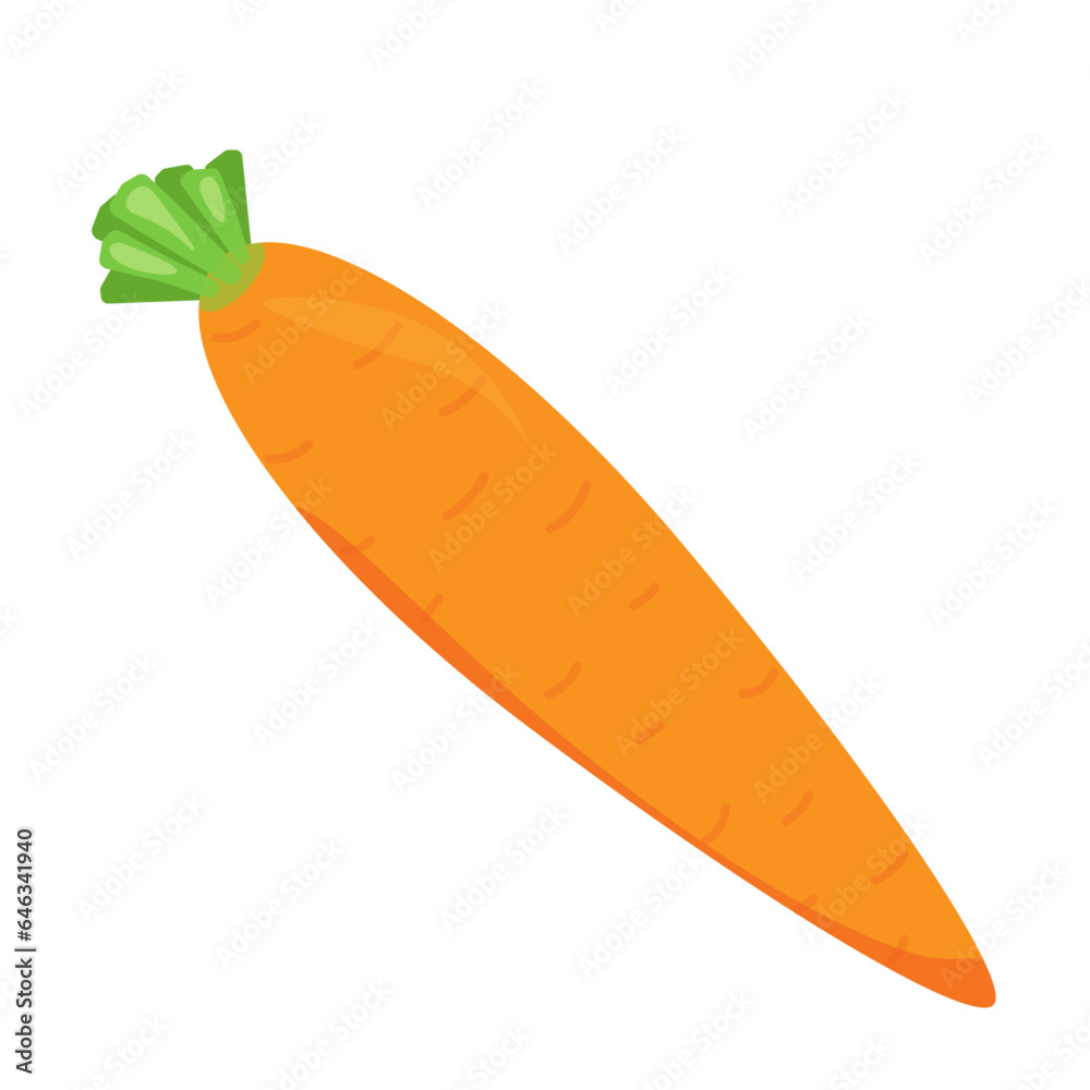 carrot on white background, vegetable, health food carrot on white background, vegetable, health food