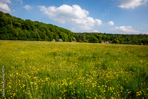 Field in spring, Eure, France.
