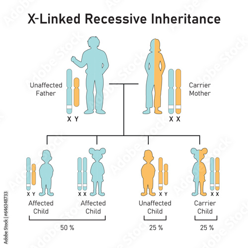 X-Linked Recessive Inheritance Concept Design. Vector illustration.
