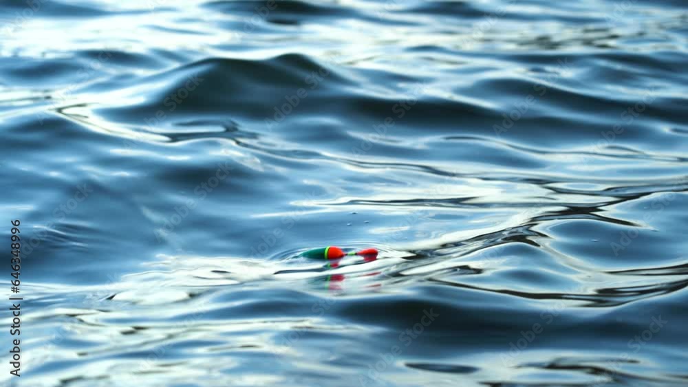 The float sways on the waves during a bite The float sways on the waves during a bite