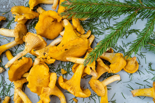 Fresh forest mushrooms chanterelles, collected mushrooms top view.