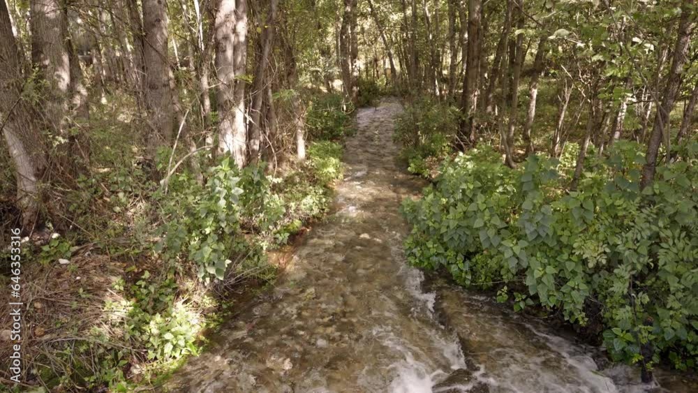 Small Waterfall Through Forest in Eryuan County, Yunnan, China Small Waterfall Through Forest in Eryuan County, Yunnan, China