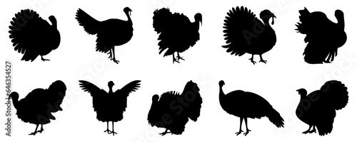 Turkey bird silhouette in black. Set of turkeys silhouette isolated for Thanksgiving Day. Turkey icons