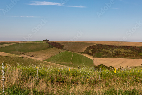 A South Downs landscape in late summer with a blue sky overhead