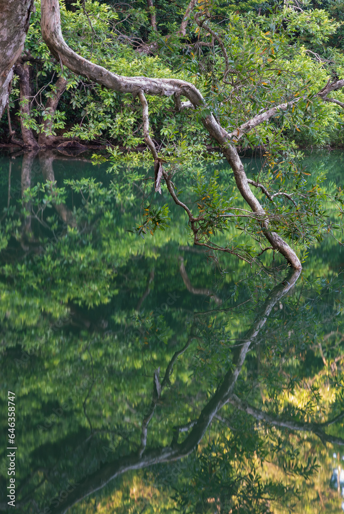 Idyllic landscape of country park Shing Mun reservoir in Hong Kong Idyllic landscape of country park Shing Mun reservoir in Hong Kong