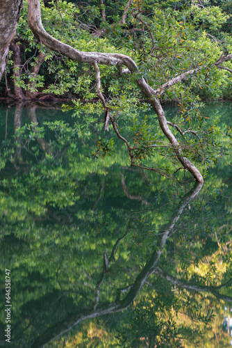 Idyllic landscape of country park Shing Mun reservoir in Hong Kong