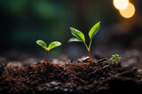 Small green seedling growing from soil on blurred nature background, Ecology concept