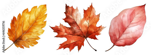 Set of artistic watercolor style autumn leaves isolated on white background. Fall nature elements.