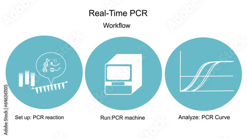 The workflow of real-time Polymerase Chain Reaction(PCR) that shows important step in blue and white icon concept: Set up (master mixes preparation),Run (qPCR machines),Analysis (amplification curve).