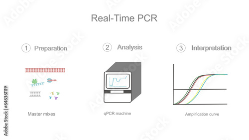 The real-time Polymerase Chain Reaction (PCR) workflow that shows important steps : Master mixes preparation, Analysis (qPCR machines), Interpretation (amplification curve).