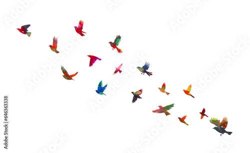 A flock of colored birds. Vector illustration