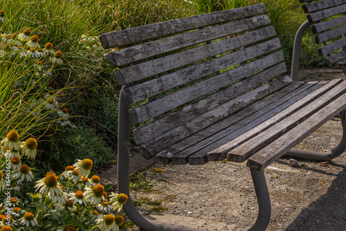 bench in the park