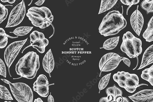 Hand drawn sketch style scotch bonnet pepper banner. Organic fresh vegetable vector illustration on chalk board. Retro cayenne pepper design template