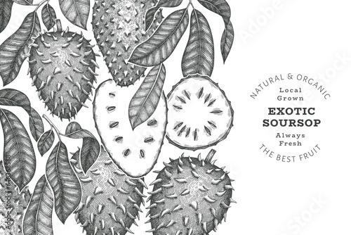 Hand drawn sketch style soursop fruit banner. Organic fresh fruit vector illustration. Retro guanabana design template