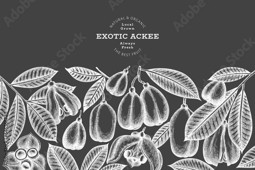 Hand drawn sketch style ackee banner. Organic fresh food vector illustration on chalk board. Retro exotic fruit design template. Engraved style botanical background.