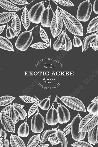 Hand drawn sketch style ackee banner. Organic fresh food vector illustration on chalk board. Retro exotic fruit design template. Engraved style botanical background.