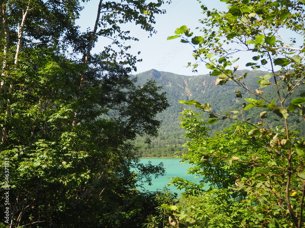 Fototapeta premium エメラルドグリーンの湖面のオコタンぺ湖