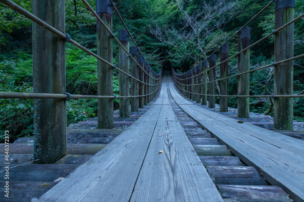 Fototapeta premium 新緑が美しい花貫渓谷